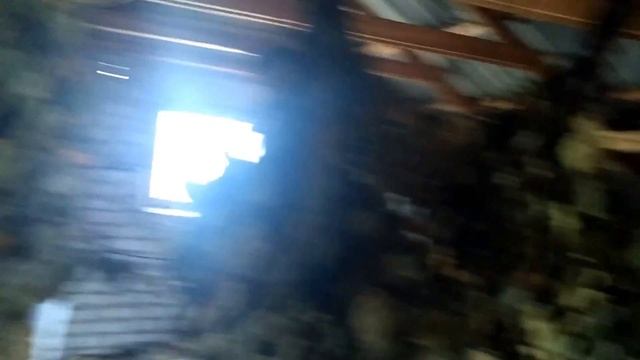 Выбираем веники для парения в бане,березовый и дубовый смотреть онлайн