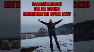 Dejan Nikolovski - Nada Obric - Dal su godine Instrumental Cover (2023)