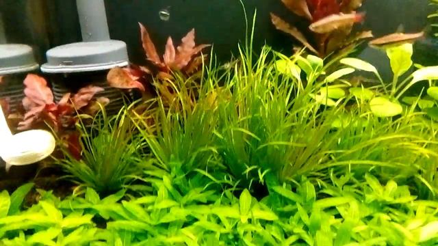 Месяц после запуска смотреть онлайн