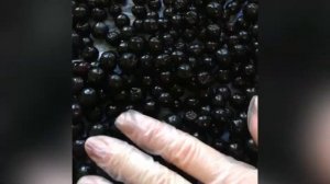 Пастила из черноплодки, мармелад из черной рябины, черноплодка с сахаром, подготовка ягод!