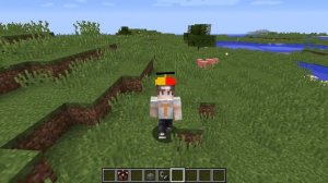 ЭТО САМЫЕ СЕКРЕТНЫЕ ПРЕДМЕТЫ В МАЙНКРАФТ