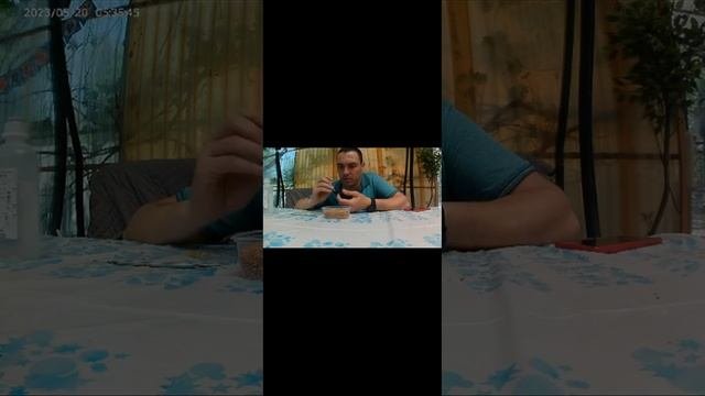 Нашел слепого Стрижа.  