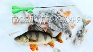 ГВОЗДЬ для ОКУНЯ / БЛЕСНЫ ПРОЩЕ не БЫВАЕТ !? #окунь #блеснагвоздь #perch #pike