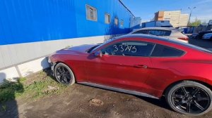 Купить авто из Америки, Мустанг с Copart