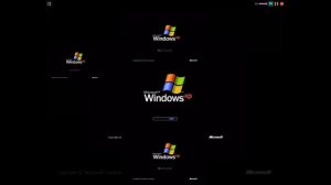 (YTPMV) Windows XP Scan