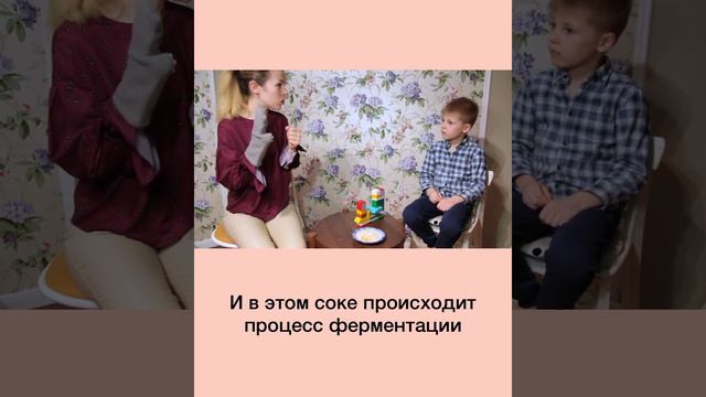 Что такое ферментированные продукты?
