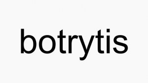 How to pronounce botrytis