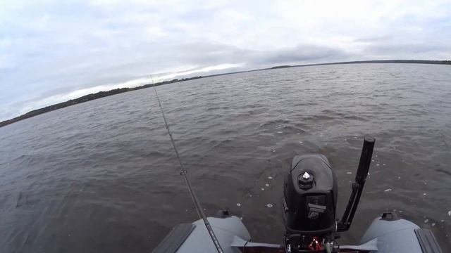 Поймал судака за ж*пу | Рыбалка на озере Вселуг смотреть онлайн