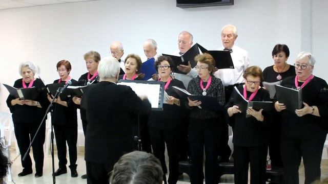 5. Цветок сирени \ פרח הלילך \ Хор Жанны Прицкер "НЕХАМА" в хостеле "hОд Ерушалаим" смотреть онлайн