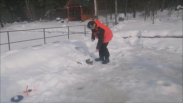 Клёв продолжается. Спорт-зона. Клёвое место Лосиный остров. смотреть онлайн
