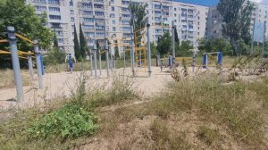 Дуб,возраст 5 лет,подвязка.