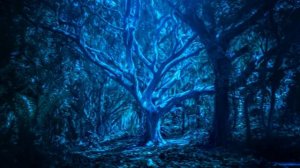 Скрябин Соната n°10 Op.70.Владимир Султанов. Vladimir Soultanov play Scriabine sonate n°10. Op.70