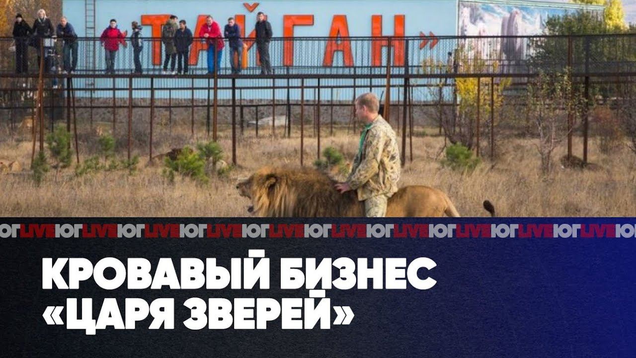 Кровавый бизнес «царя зверей» | Вся правда о трагедии на Эльбрусе | ЮГ LIVE