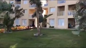 ТОП 5 отелей на курорте Шарм-Эль-Шейх