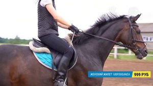 Экипировка для верховой езды за 6500 рублей (Комплект одежды для верховой езды )| Декатлон ТВ