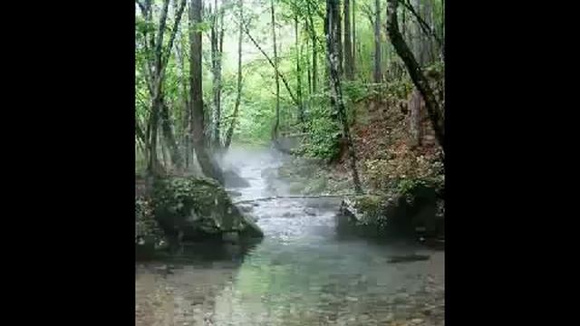 Горный велосипед в Крыму смотреть онлайн