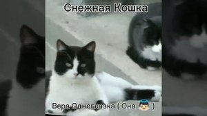 Голоса персонажей А ну-ка Давай-ка и Снежная Кошка!?