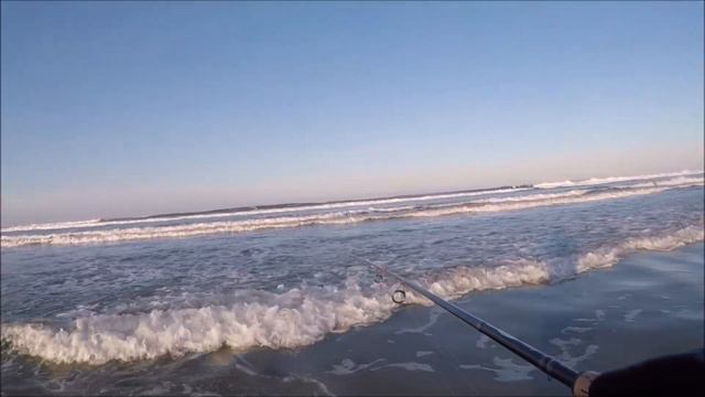How to Catch and Cook Surf Perch