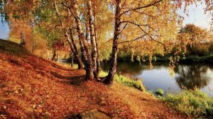 Ефимыч- Мы теперь уходим