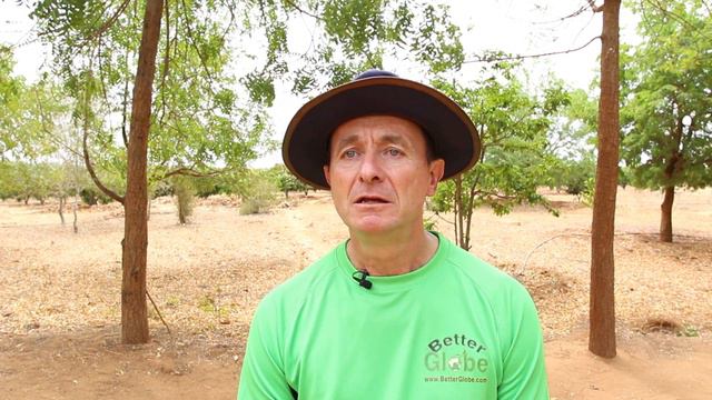 Acacia Senegal - An introduction смотреть онлайн