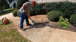 Stump Grinder in Action 2