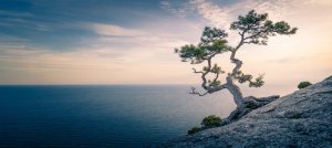 Базовая медитация Тета Хилинг. Тета медитация выход на 7 план. Турятка Татьяна