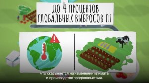 Сокращение потерь и порчи продовольствия благодаря устойчивым продовольственным холодильным цепочка