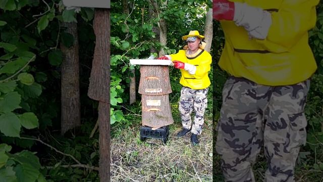 ЗАВЁЗ КОЛОДУ С ПЧЕЛАМИ В ДИКИЕ МЕСТА. ДОБЫВАЕМ "ДИКИЙ МЁД". ПЧЕЛОВОДСТВО БЕЗ ЧЕЛОВЕКА. смотреть онлайн