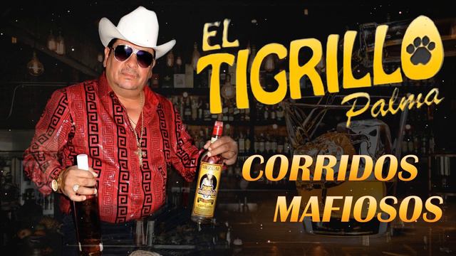 El Tigrillo Palma Sus Grandes Exitos - El Tigrillo Palma Mix 2023 - Corridos Mafiosos Mix смотреть онлайн