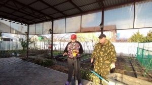 Собрали и установили разборную теплицу/Засыпал песком дорожки/Переезд на юг