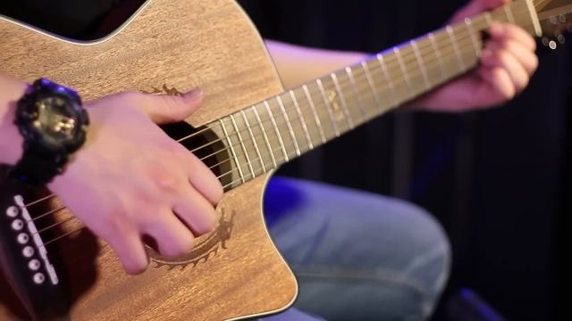 Обзор акустической гитары Bulldog ws-delta 3 смотреть онлайн