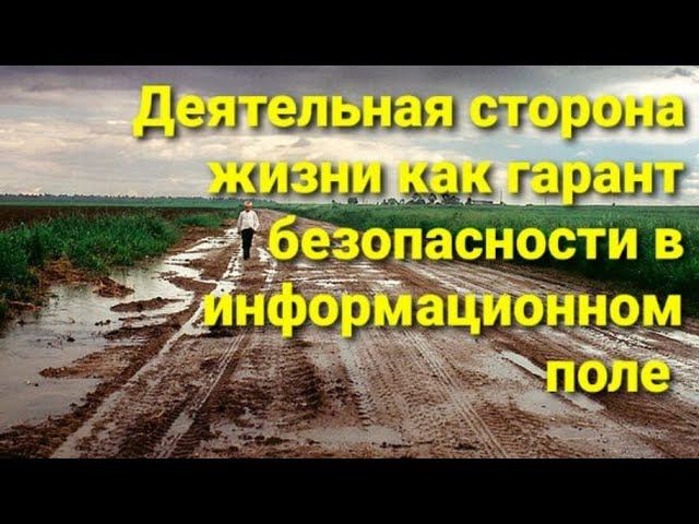Деятельная сторона жизни, как гарант безопасности в информационном поле