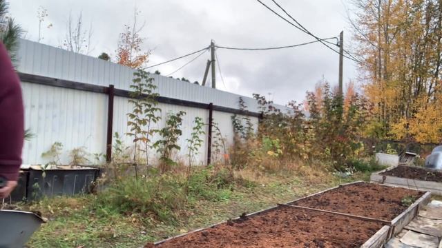 Дачные работы 29 сентября 2023.??? смотреть онлайн