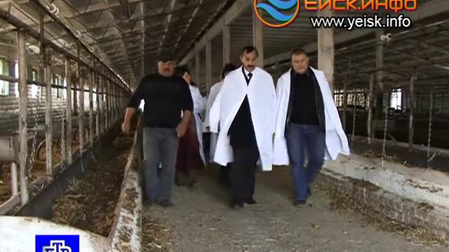 Копанская
