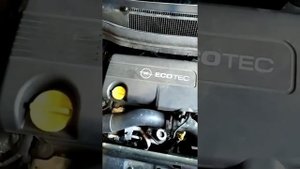 Удаление сажевого фильтра, катализатор, прошивка Opel Zafira B 1.7 cdti
