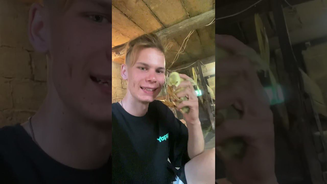 Порадуемся воспоминаниями летних будней смотреть онлайн