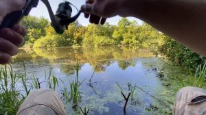 ДЕД поведал все СЕКРЕТЫ и РЫБАЛКА НАЧАЛАСЬ! | КАРАСЬ на УДОЧКУ в БОЛОТЕ