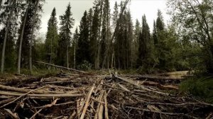 ЗАБРАЛСЯ В САМУЮ ГЛУШЬ. ТАЕЖНАЯ РЕЧКА. СПЛАВ. РЫБАЛКА НА ХАРИУСА. ЖИЗНЬ В ТАЙГЕ.