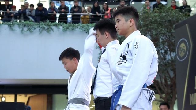 Jiu-Jitsu NAURYZ SHOW смотреть онлайн