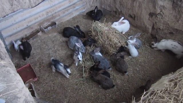 Август 2018 смотреть онлайн