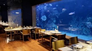 Titanic Mardan Palace - встречаем НОВЫЙ ГОД 2023