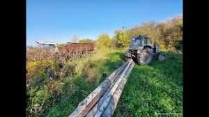 Осень, готовлю дрова! Поломка пилы! На тракторе МТЗ-80 в лес!