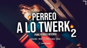 PERREO A LO TWERK 2 ( PURO PERREO INTENSO ) MAURO RMX