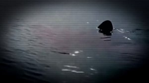 5 Мегалодонов Снятых На Камеру!!!