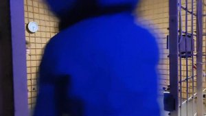 Poppy Playtime in REAL LIFE Chapter 2 ПРОХОЖДЕНИЕ Poppy Playtime в реальной жизни #2