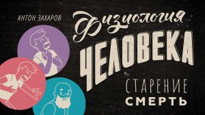 Как замедлить старение? Старение и смерть. Физиология человека — урок 26.