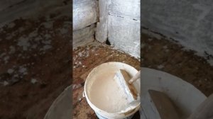 Обработка помещения для содержания поросят 🐖