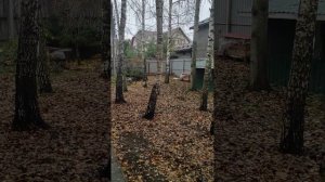 Истина в моей книге "Московская копоть "