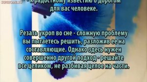 К чему снится Укроп сонник, толкование сна