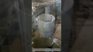 Печи для бани топи и мойся, и не только.